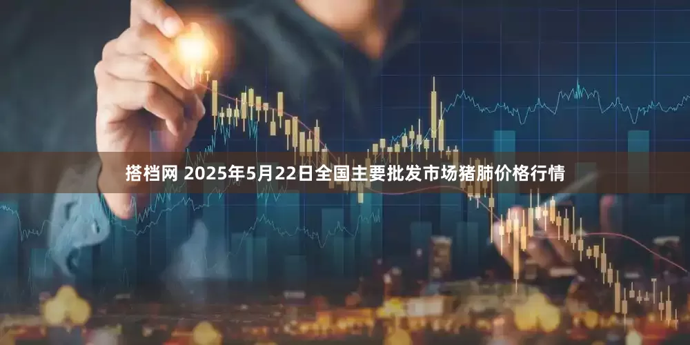 搭档网 2025年5月22日全国主要批发市场猪肺价格行情